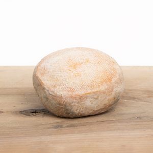 Petit Fiancé des Pyrenees